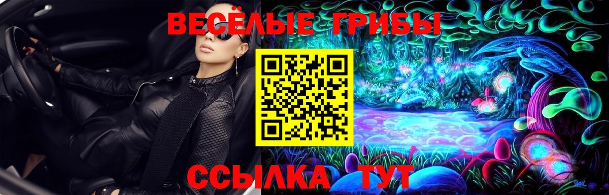 Псилоцибиновые грибы Psilocybe Белорецк